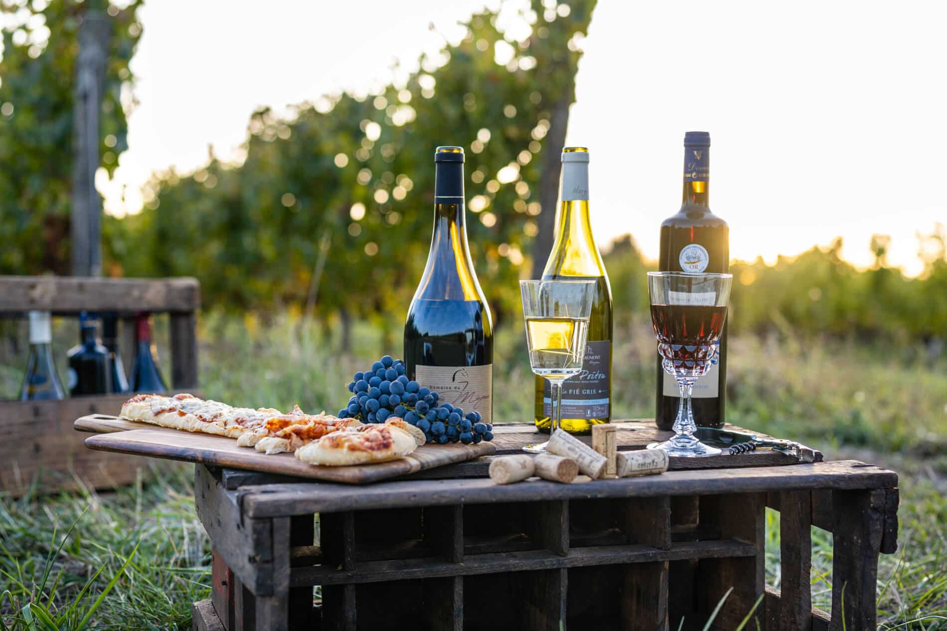 Vins_locaux_du_Poitou-Ludovic_Plault-13759-1900x1267 Vue aérienne du Domaine La Rimbertière, gîte et lieu de réception près de Poitiers